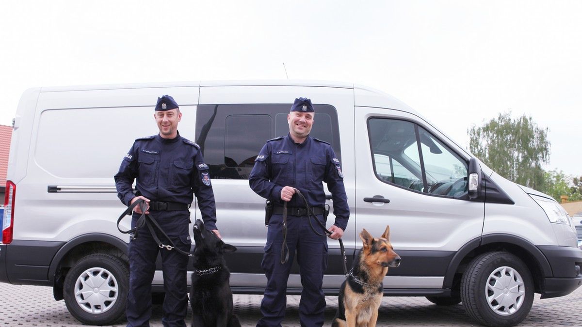 Policjanci z Plutonu Przewodników Psów Służbowych z Oddziału Prewencji Policji w Poznaniu używają auta od początku maja