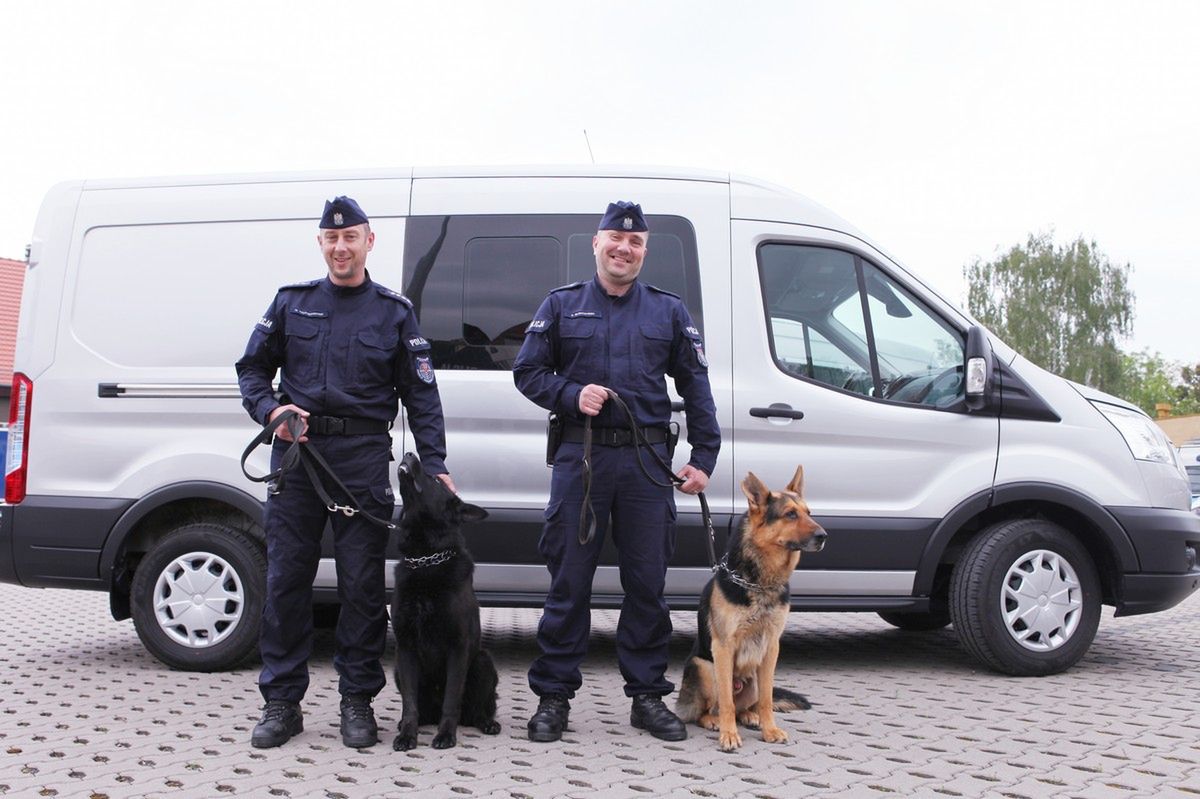 Policjanci z Plutonu Przewodników Psów Służbowych z Oddziału Prewencji Policji w Poznaniu używają auta od początku maja