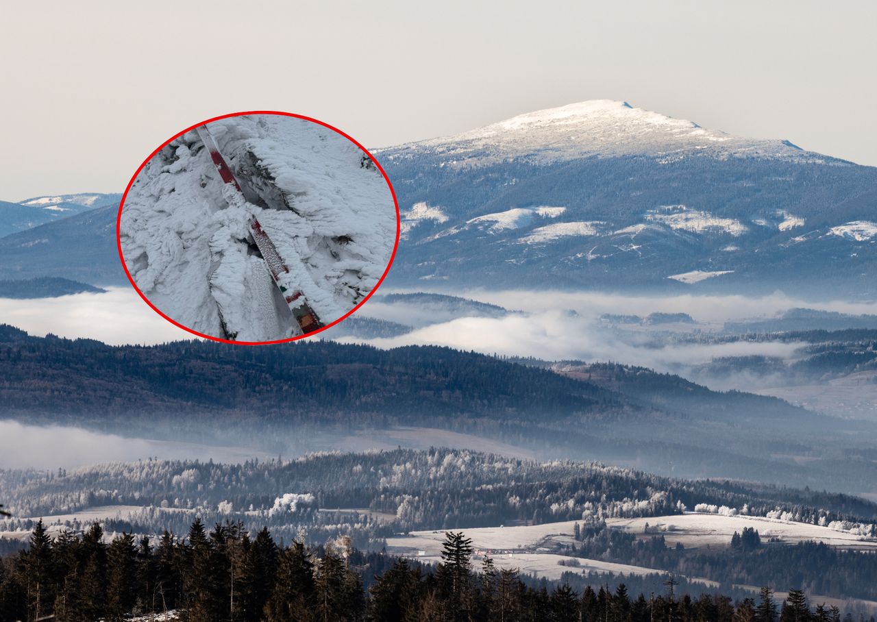 Turyści przesadzili. "Apelujemy o rozwagę i reagowanie na przejawy wandalizmu"