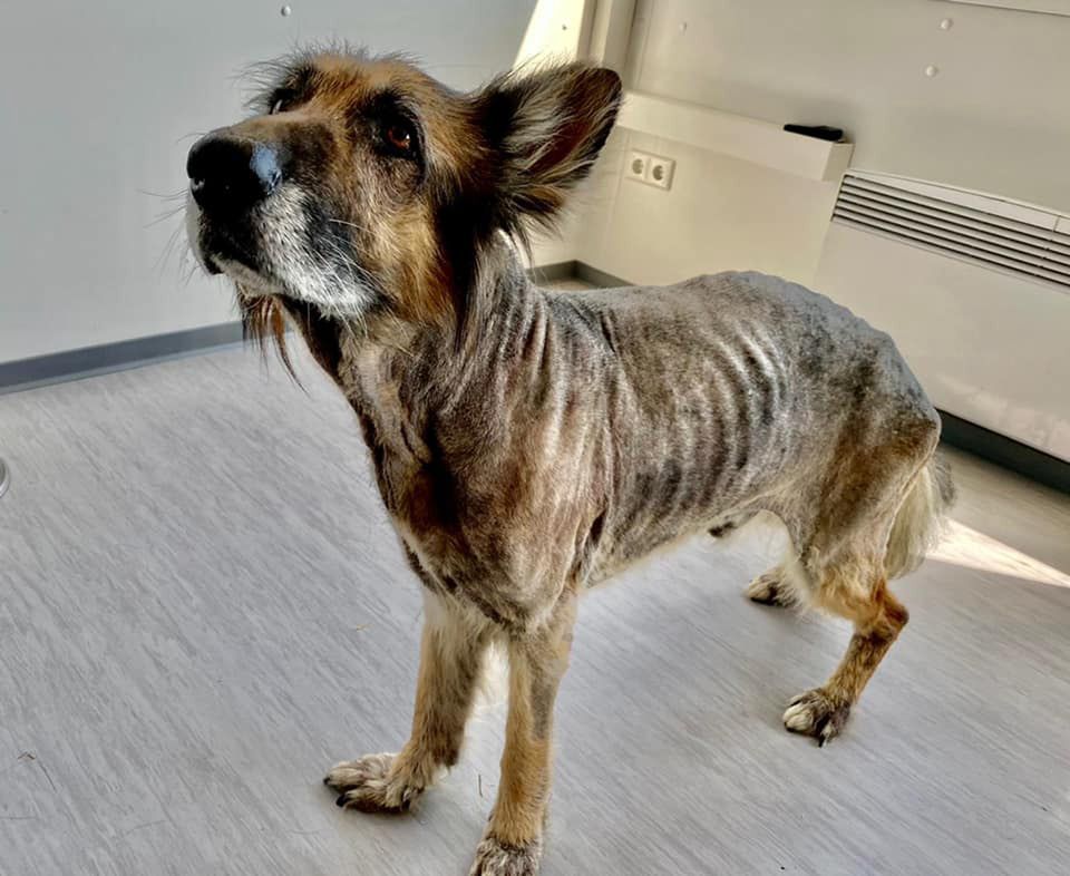 Wrocław. Kaspian ma wrócić do właścicieli. To nie koniec sprawy!