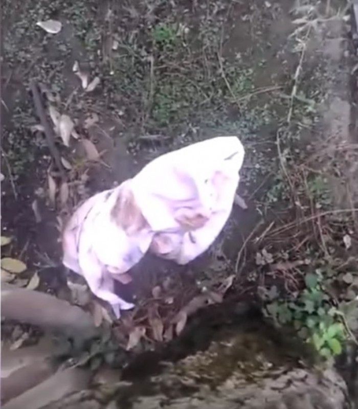 Porzucone dziecko odnalezione w parku przez mężczyznę/idailybuzz