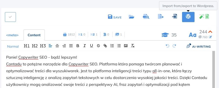Copywriter SEO