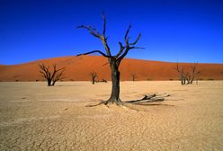Namibia - Afryka dla początkujących