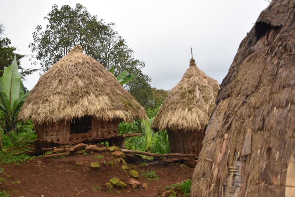 Niezwykłe plemię z Etiopii. Mieszkają w domach w kształcie głów słoni