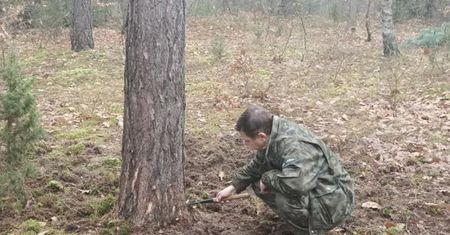 Leśniczy natknął się na to w lesie. Zamarł