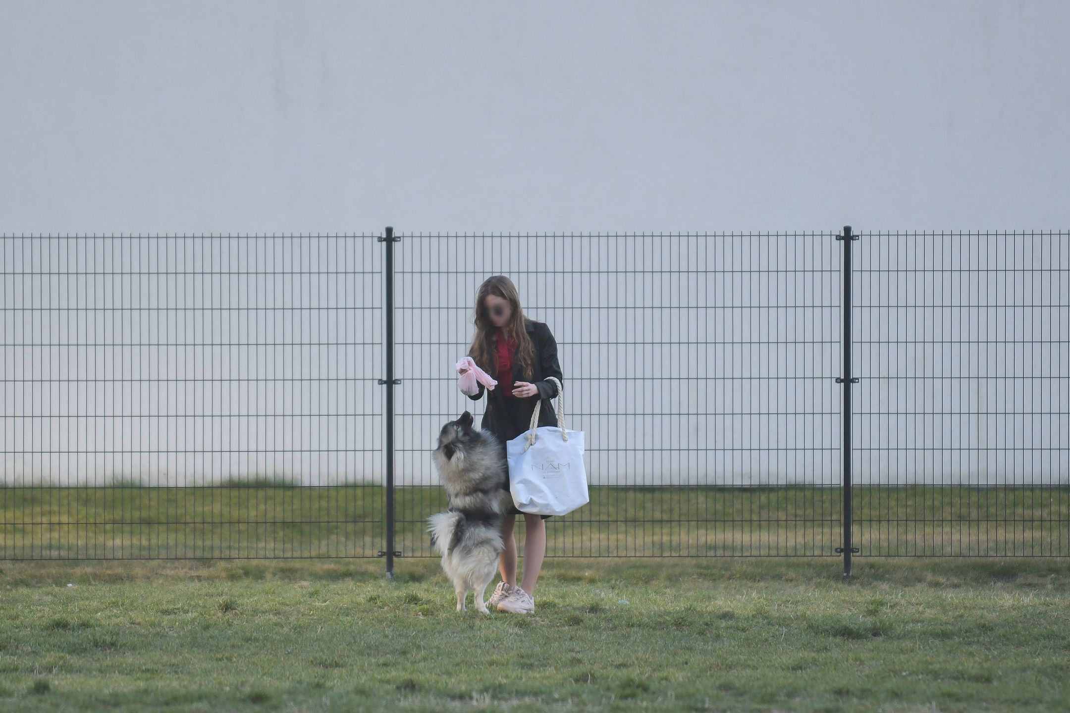 Kochanka Antka Królikowskiego wyprowadza psa na spacer