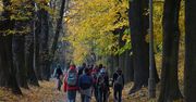 Bon turystyczny 500 plus. Polacy chcą podróżować, ale narzekają na trudności