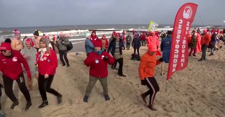 Morsy wyległy na plażę w Mielnie. Setki osób kąpały się w zimnym Bałtyku