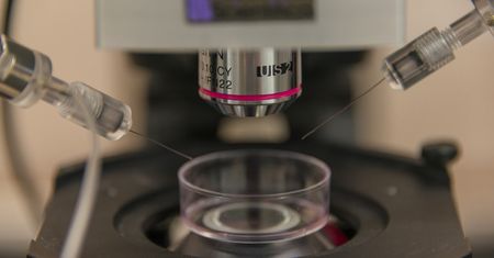 Ustawa o in vitro. Grożą nam kary za brak przepisów
