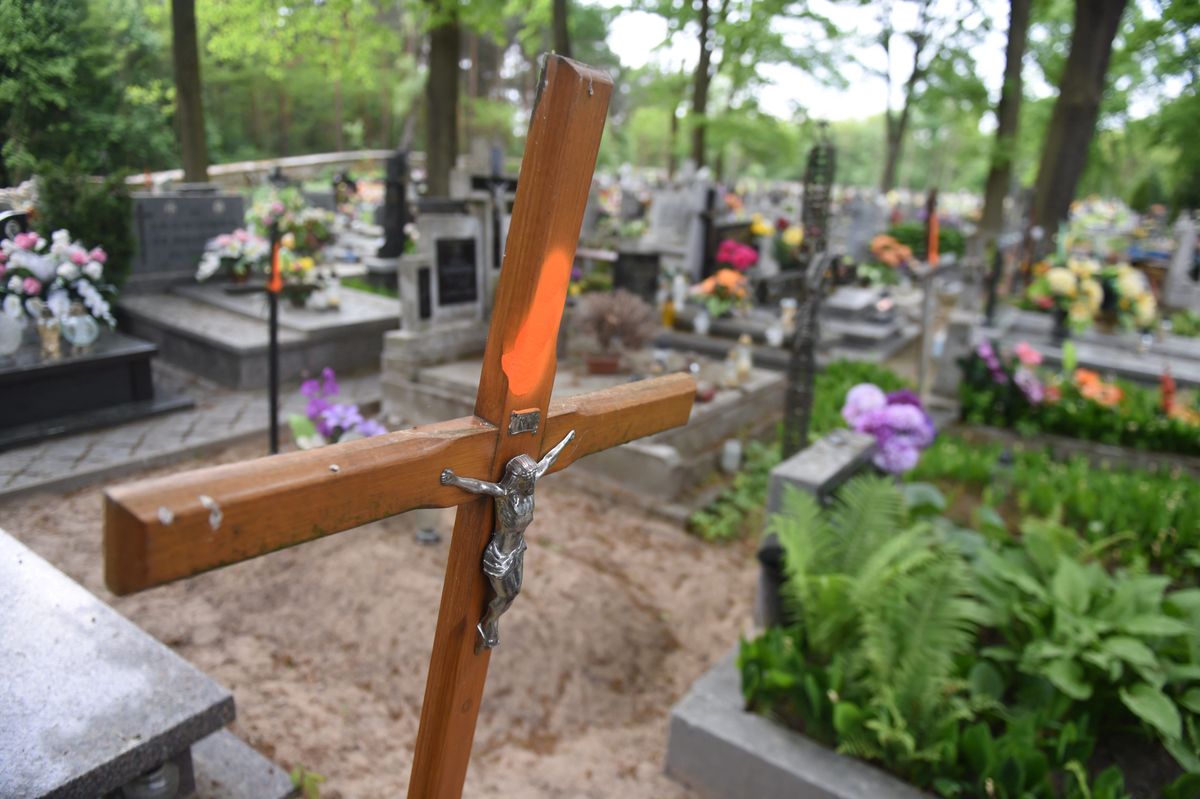 Gdańsk. Profanacja krzyża na cmentarzu ofiar wojny w Gdańsku / foto ilustracyjne

