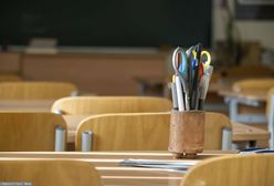 Pluskwy w szkole w Warszawie. Trzeba odwołać zajęcia