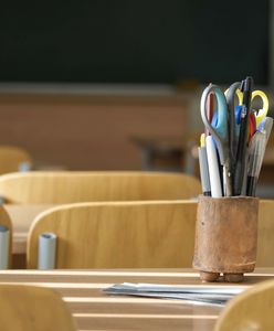 Pluskwy w szkole w Warszawie. Trzeba odwołać zajęcia