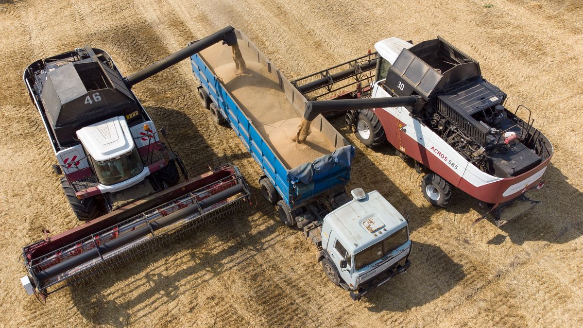 W 2023 r. do Unii Europejskiej wjechało z Rosji i Białorusi półtora miliona ton zbóż - wylicza Michał Kołodziejczak