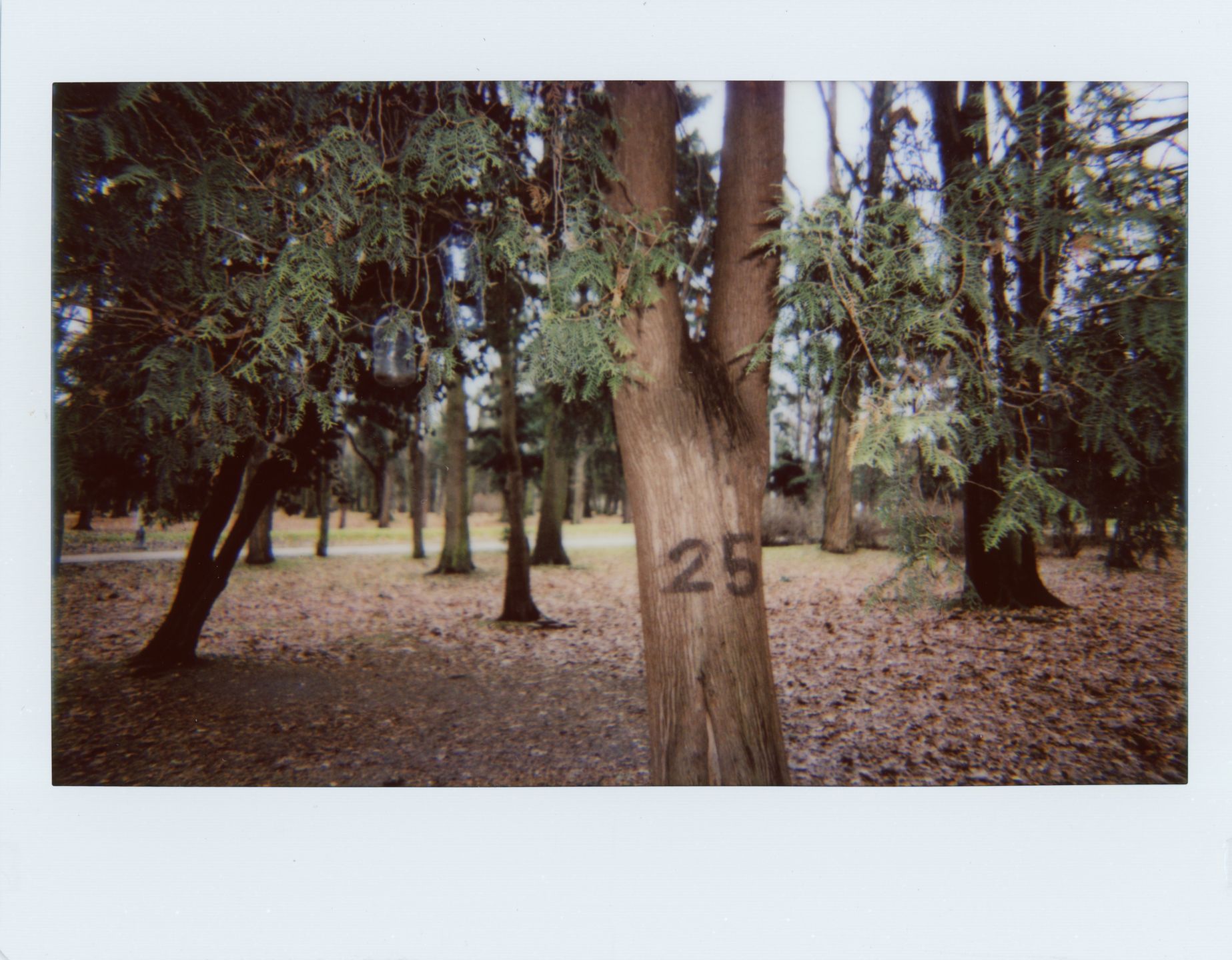 Lomo'Instant Wide – sensowny współczesny aparat natychmiastowy czy kolejny hipsterski wymysł? 2