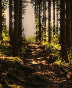 Beskidy. Pogoda w górach zachęca do wędrówek, nie tylko w weekend