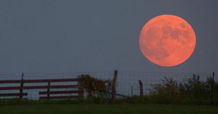 Nowy Harvest Moon na PSP?
