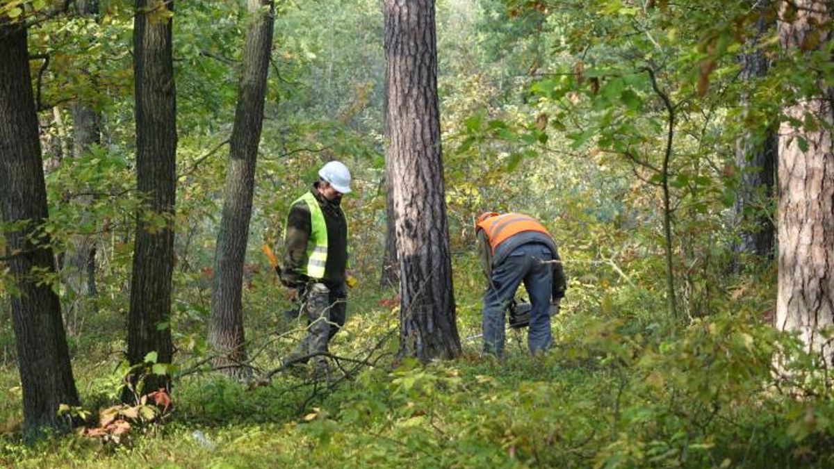 Zdjęcie ilustracyjne.
