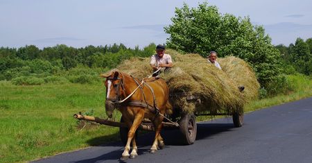 Jakiego słowa brakuje w tym znanym przysłowiu? Odgadniesz wszystkie?