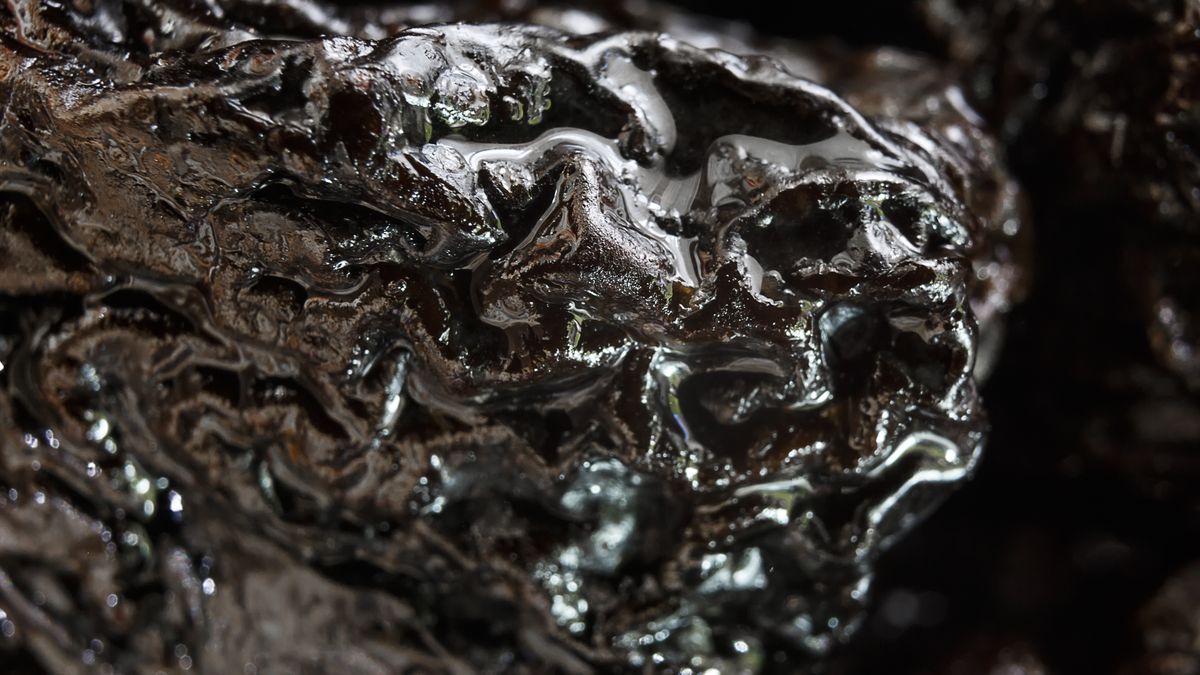 Suszone śliwki warto dodawać nie tylko do wigilijnego kompotu