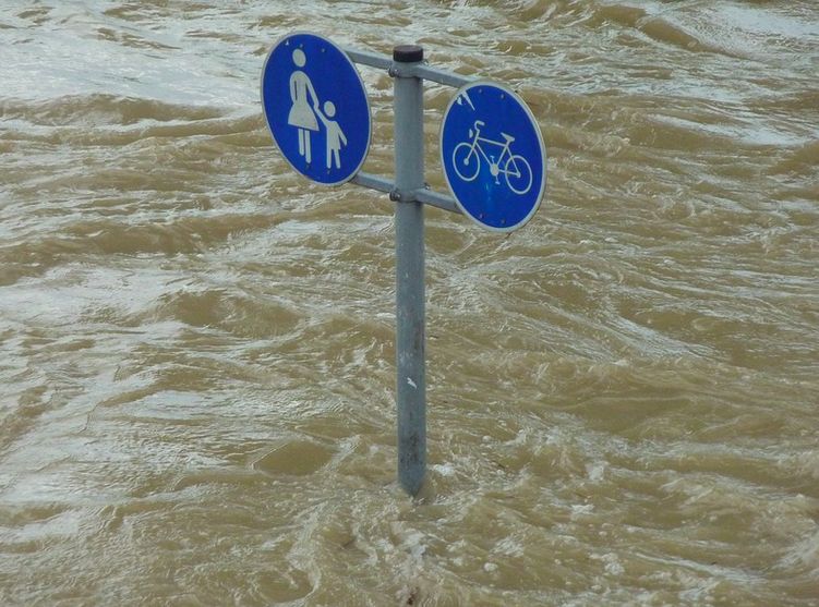 Zginęła w powodzi w Niemczech, ciało znaleźli w Holandii. Wstrząsająca siła żywiołu