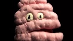 Wątroba, serce, płuca i jelita skarżą się na złe traktowanie. Ruszyła nowa kampania społeczna Ministerstwa Zdrowia