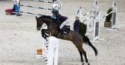 Kraków: Cavaliada rozpoczęta. Pierwsze konkurencje jeździeckie