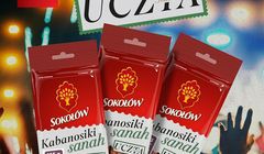 Sokołów partnerem trasy koncertowej sanah