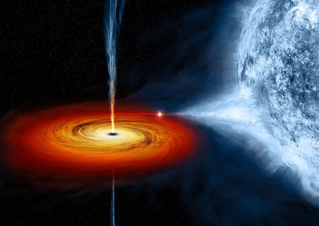Cygnus X-1 był tematem zakładu pomiędzy fizykami Stephenem Hawkingiem i Kipem Thorne’em. W 1974 r. Hawking założył się, że układ ten nie zawiera czarnej dziury, ale już w 1990 r. (jeszcze przed obserwacyjnym potwierdzeniem jej istnienia) przyznał rację Thorne’owi. 