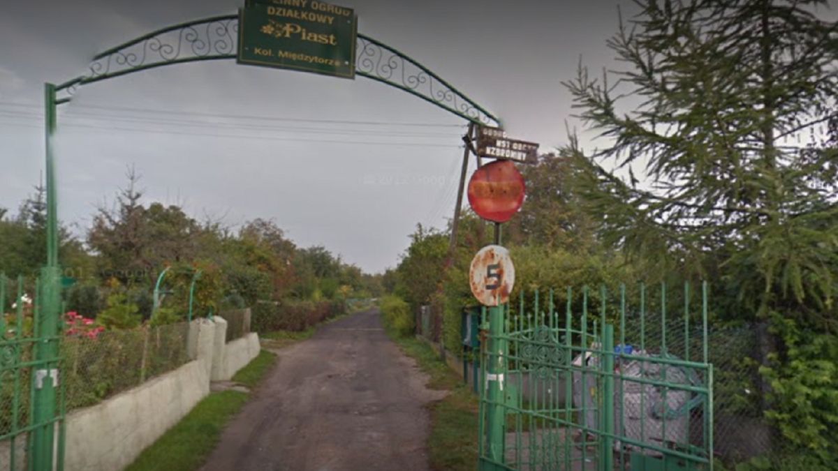 Ogródki działkowe w Szczecinie.