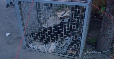 Akcja w Poznaniu. Terroryzował mieszkańców osiedla Zwycięstwa