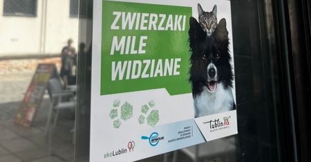 Coraz więcej miejsc w Lublinie przyjaznych zwierzakom. Sprawdź, gdzie wejdziesz ze swoim pupilem – na obiad, zakupy albo do urzędu [PEŁNA LISTA]