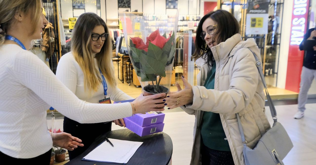 Poznań: Karma Wraca. Tak pomagacie zwierzakom ze schroniska