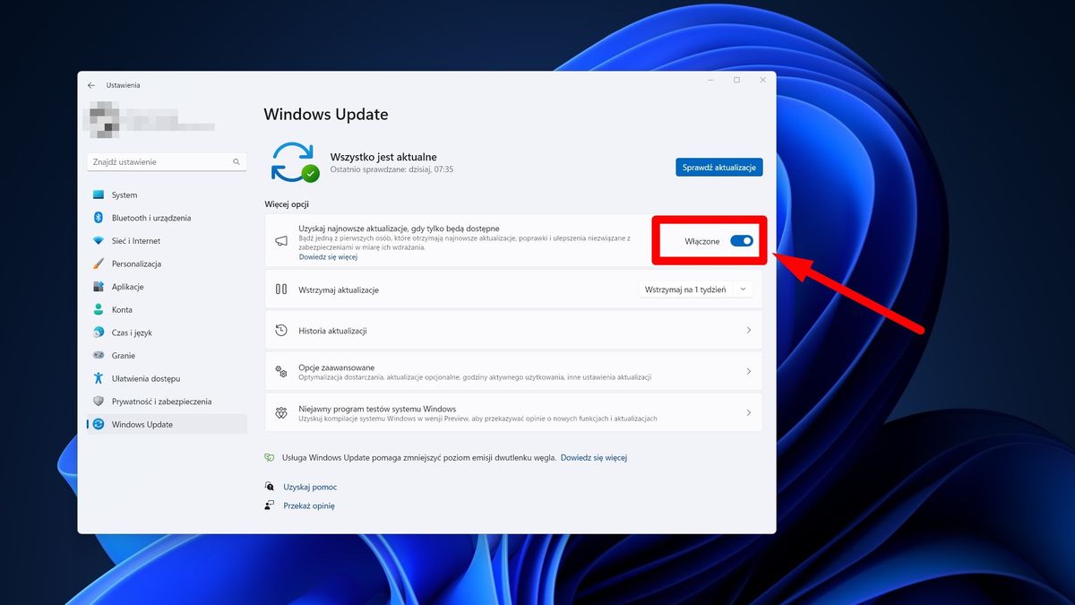 Ustawienia aktualizacji w Windows 11