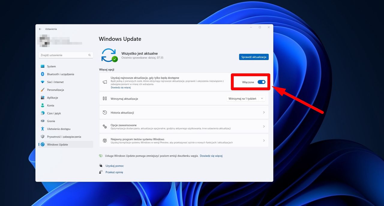 Ustawienia aktualizacji w Windows 11