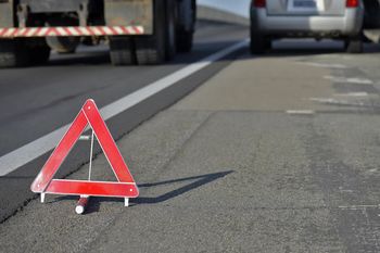 Zblewo: Groźny wypadek. Auto zderzyło się z łosiem