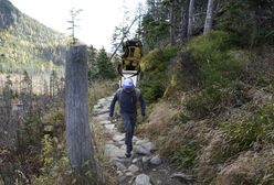 60 kg na plecy i marsz w góry. Tragarze znów stoczyli morderczy bój