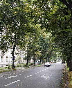 Gliwice. Zmiany w komunikacji autobusowej. Co się zmieni?