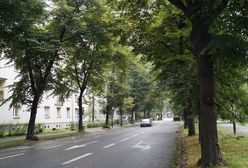 Gliwice. Zmiany w komunikacji autobusowej. Co się zmieni?