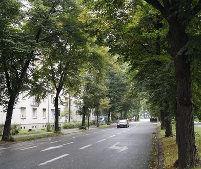 Gliwice. Zmiany w komunikacji autobusowej. Co się zmieni?