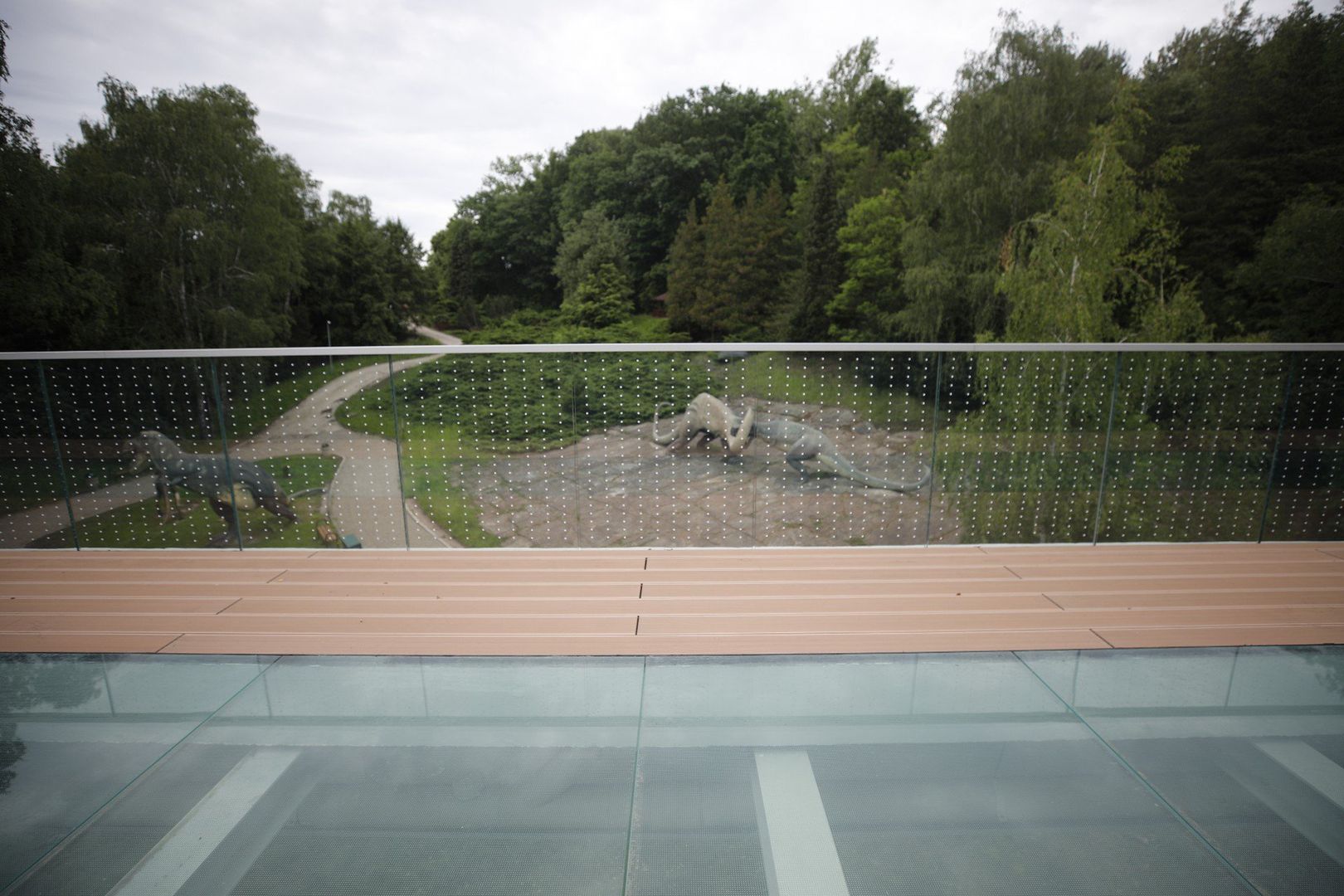 Nowa atrakcja w Śląskim ZOO
