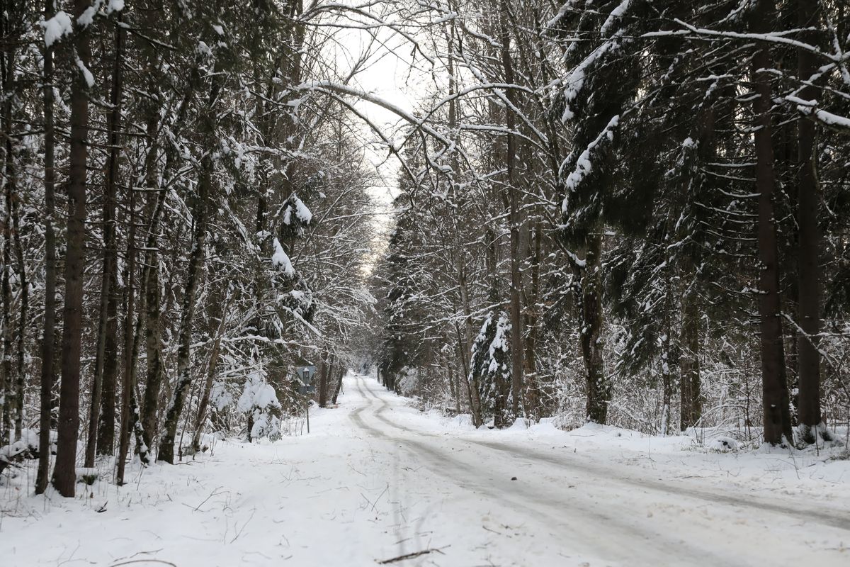 Śnieg w okolicach miejscowości Czerlonka