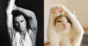 WTF dnia: drogie panie, coś dla Was! Słodkie koteczki udają przystojnych modeli [zdjęcia]