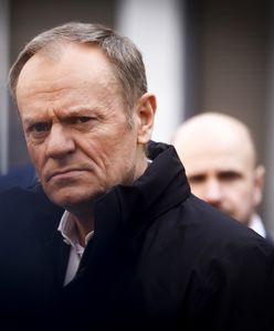 Rośnie różnica między PiS a KO. Mamy nowy sondaż