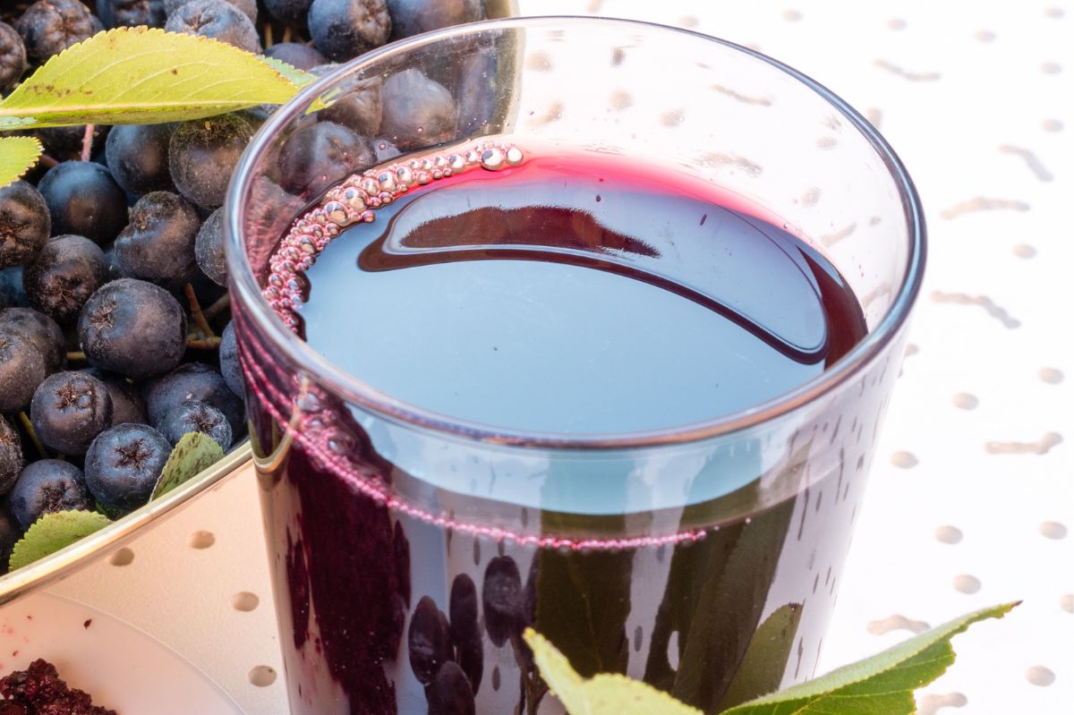 Grandma's secret: The chokeberry juice boosts winter immunity