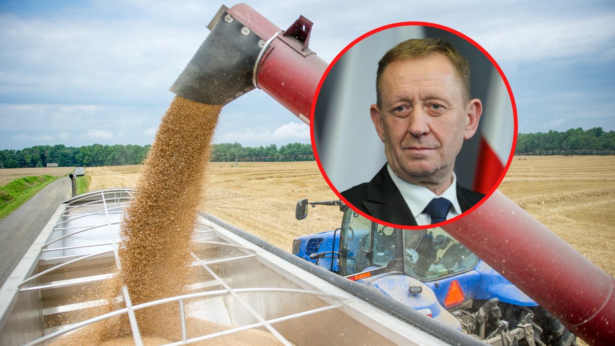 Minister chce, by zboże z Ukrainy szybko opuściło Polskę