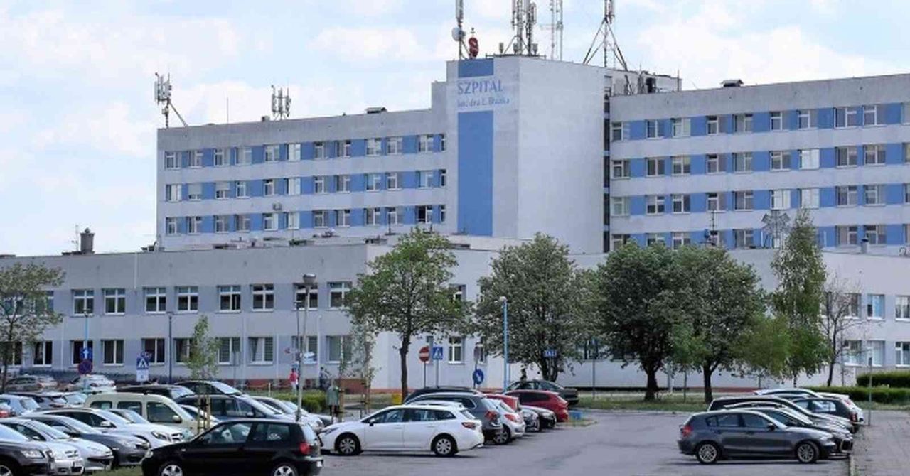 Inowrocław: Powiat zachęca do posadzenia drzewa aby upamiętnić narodziny dziecka