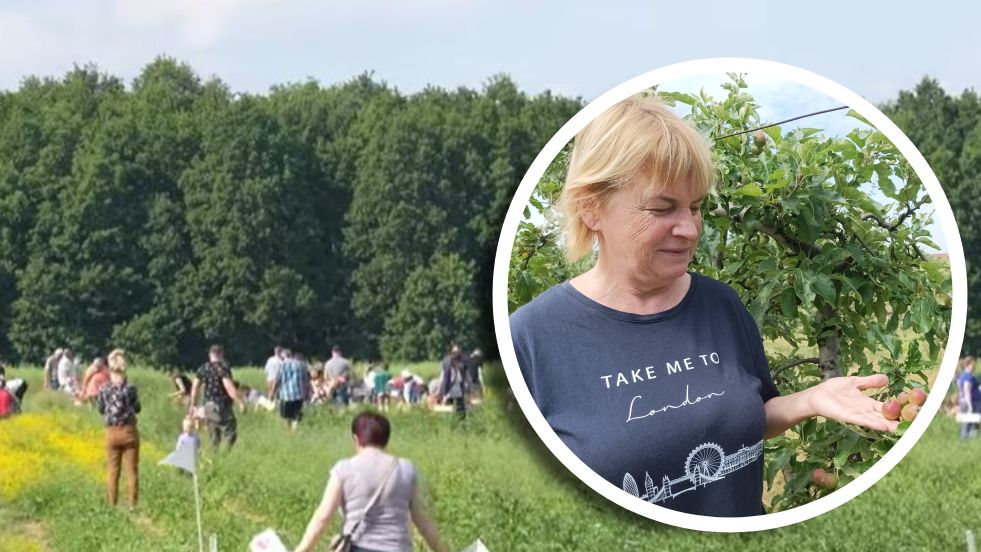 Polacy coraz częściej wybierają samozbiory owoców