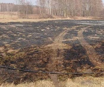 Wypalali trawy – poniosą srogie konsekwencje