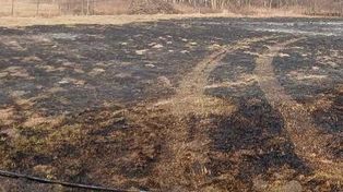 Wypalali trawy – poniosą srogie konsekwencje