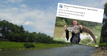 Wyłowili giganta z Raby. Zdjęcia obiegły sieć